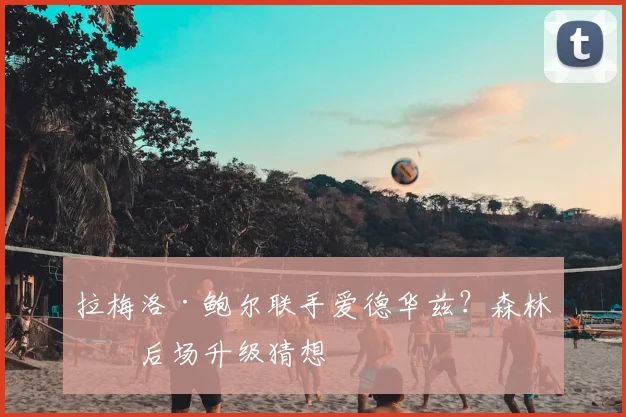 拉梅洛·鲍尔联手爱德华兹?森林狼后场升级猜想