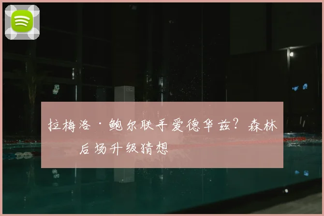 拉梅洛·鲍尔联手爱德华兹？森林狼后场升级猜想
